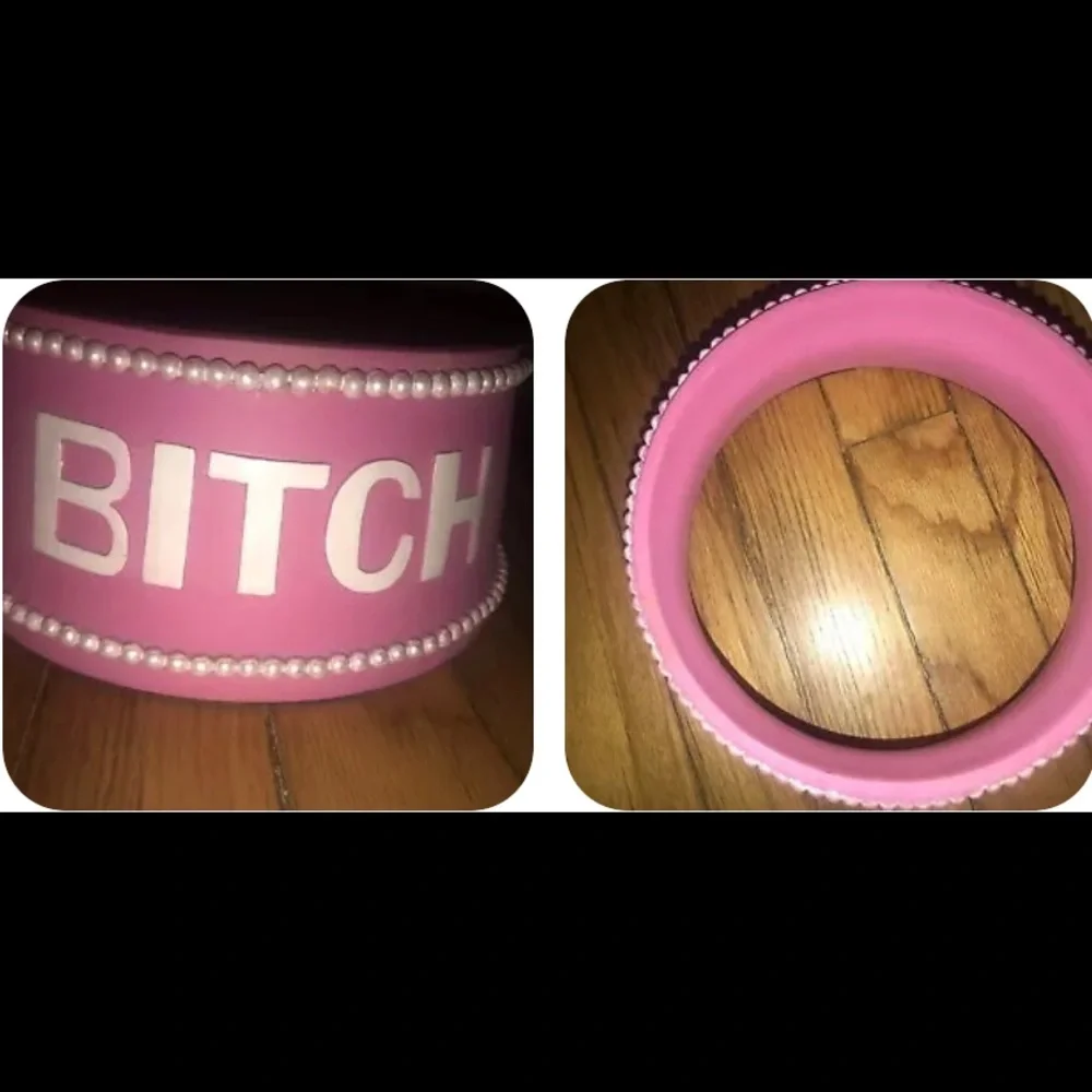 B*tch Fashionable Dog Bowl Pink Pearl-Lined Large Poly-Resin Water Feeder Holder